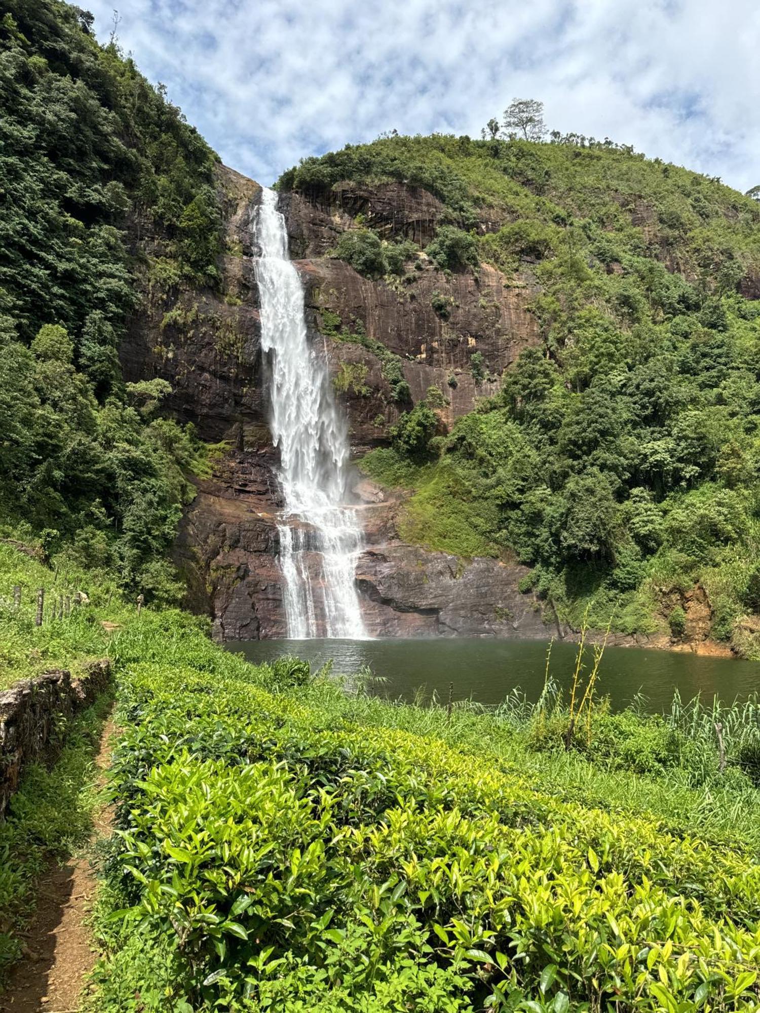 Pekoe Lodge Maskeliya Buitenkant foto