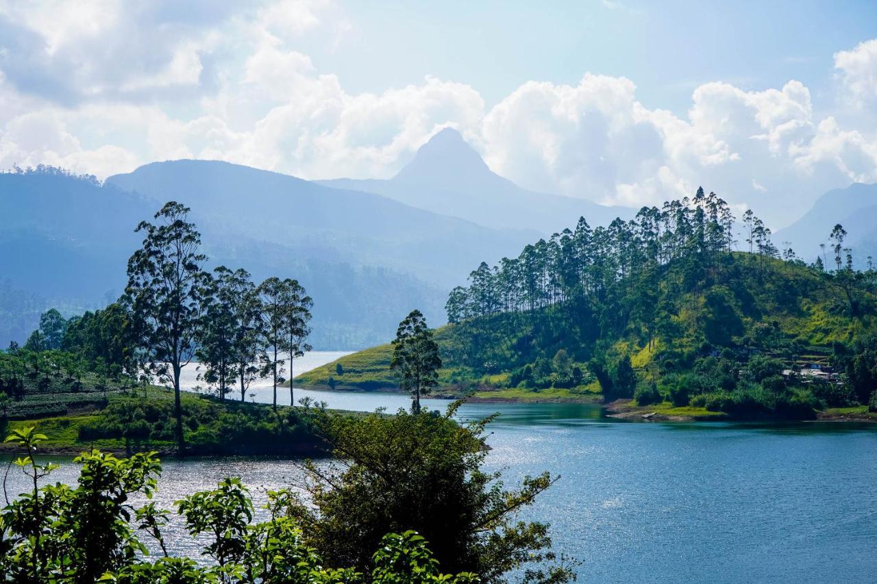Pekoe Lodge Maskeliya Buitenkant foto